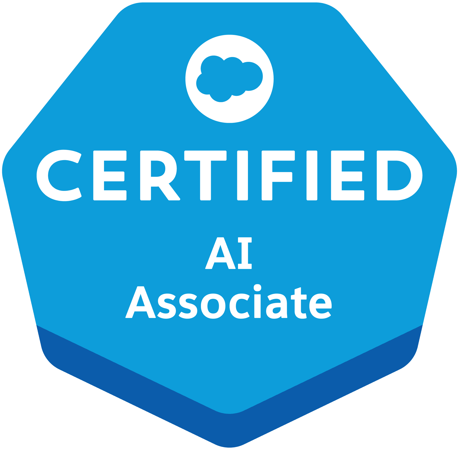 Salesforce Certified AI Associate